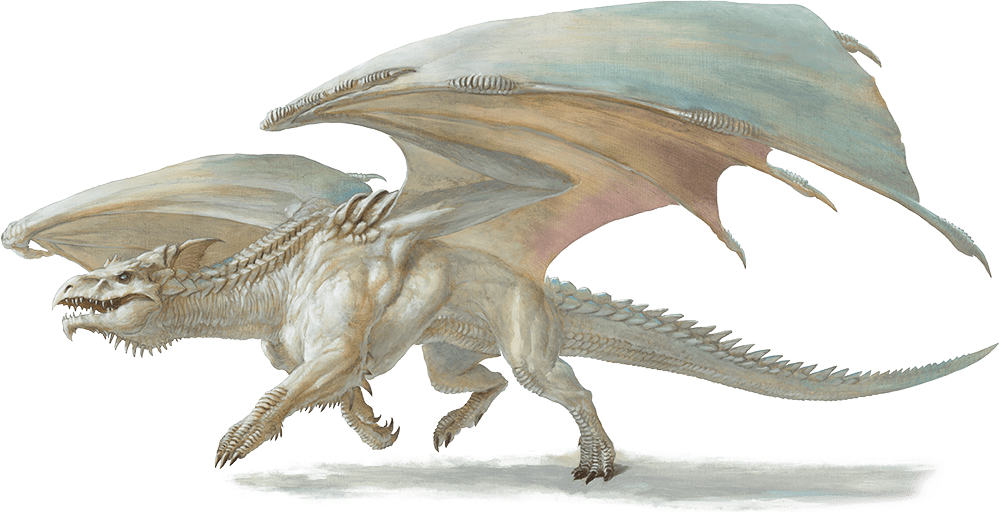 Young White Dragon